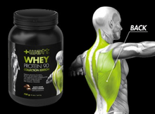 Charger l'image dans la galerie, MASSE MUSCULAIRE ÉDITION COLLECTION WHEY PROTEIN 90