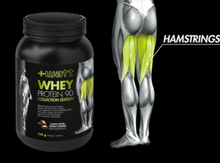 Charger l&#39;image dans la galerie, MASSE MUSCULAIRE ÉDITION COLLECTION WHEY PROTEIN 90
