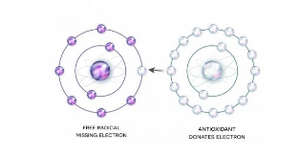 PRODUITS SPÉCIFIQUES Iantiradical Mix+