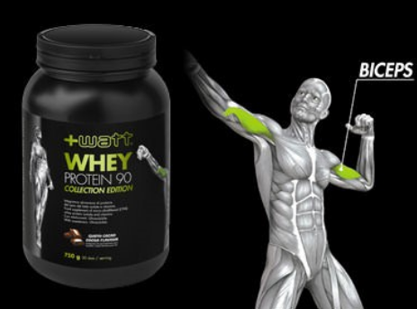 MASSE MUSCULAIRE ÉDITION COLLECTION WHEY PROTEIN 90